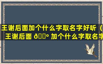 王谢后面加个什么字取名字好听（王谢后面 🌺 加个什么字取名字好听一点）